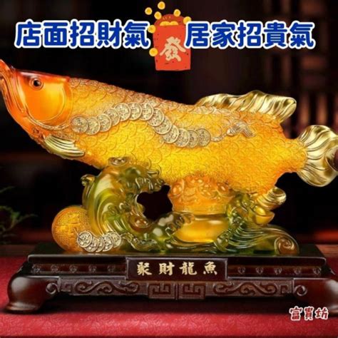 金龍魚風水|【風水用品中金龍是什麼】龍魚風水學 